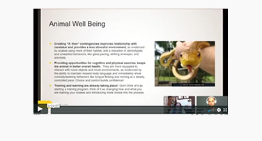 Snake Training With Carrie Kish