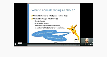 Animal Training Flow-charts with Eva Bertilsson