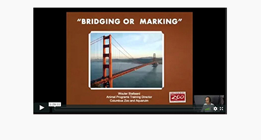 The Bridging Stimulus: A Crucial Tool with Wouter Stellaard