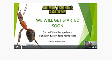 Antecedents, Function and Non-Food Reinforcers with Carrie Kish
