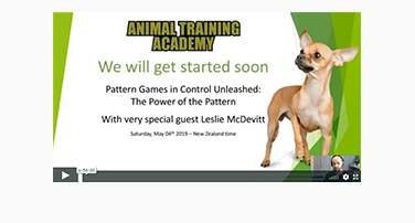 Pattern Games in Control Unleashed: Leslie McDevitt