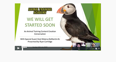 Animal Training Content Creation Conversation – With Malena DeMartini
