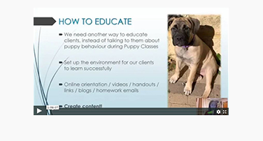 Puppies, Puppies & More Puppies – Laura Ryder