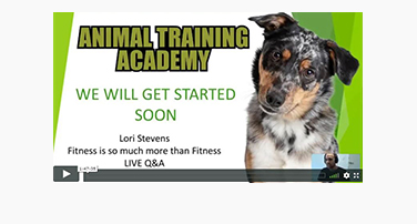 LIVE Q&A; Lori Stevens – Fitness Is So Much More Than Fitness