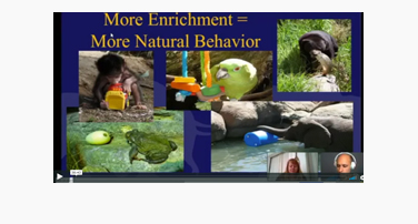Zoo Time Management : Margaret Rousser