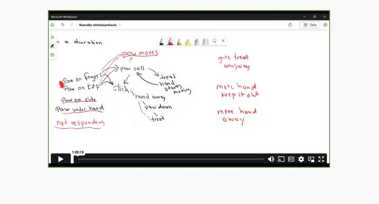 Flowcharts with Eva Bertilsson