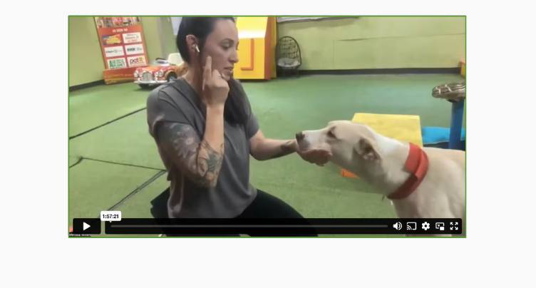 Trick Training with Melissa Millet