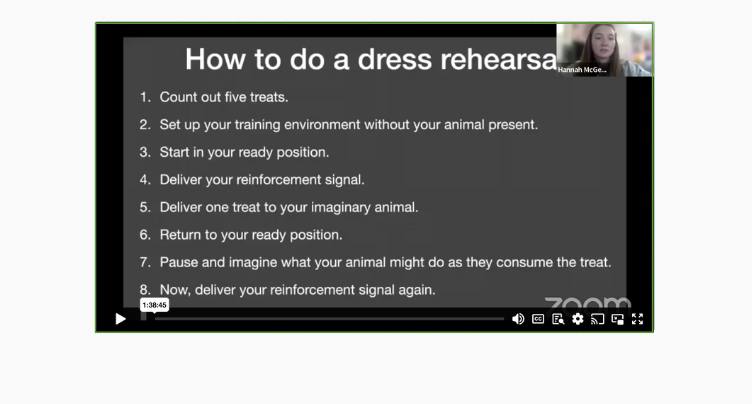 Mastering reinforcement systems with PORTL – From Theory to Practice