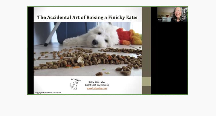 The Accidental Art of Raising a Finicky Eater with Kathy Sdao