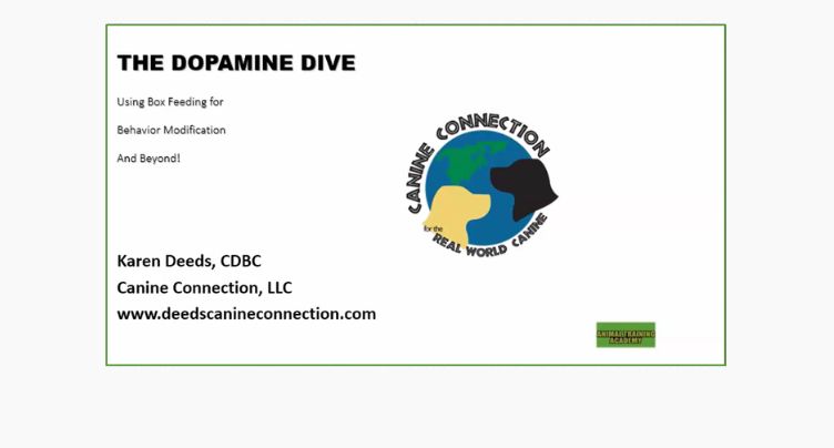The Dopamine Dive with Karen Deeds